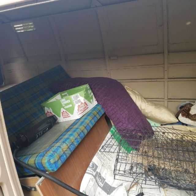 1965 Tan Volkswagen Bus/Vanagon HSCR