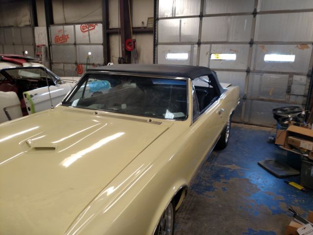 1965 Cameo Ivory Pontiac GTO Convertible