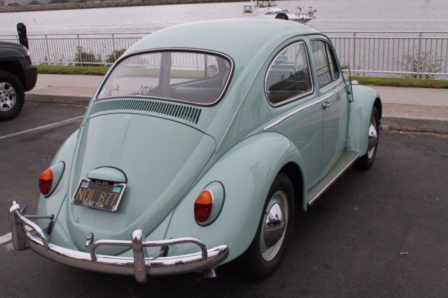 1965 Blue Volkswagen Beetle - Classic Coupe