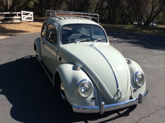 1965 Savanna bait Volkswagen Beetle - Classic Coupe