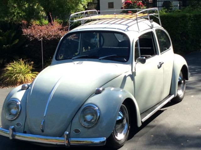 1965 Savanna bait Volkswagen Beetle - Classic Coupe