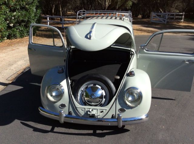1965 Savanna bait Volkswagen Beetle - Classic Coupe