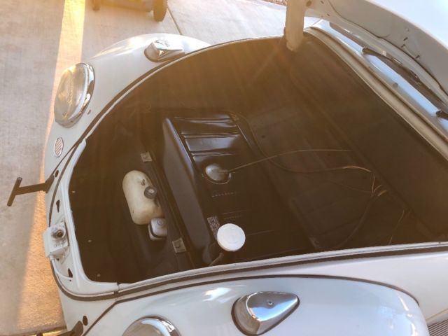 1965 Volkswagen Beetle - Classic