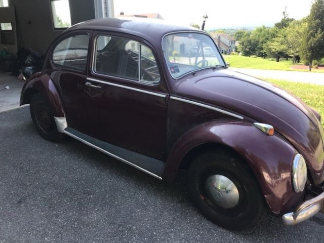 1965 Volkswagen Beetle - Classic Coupe