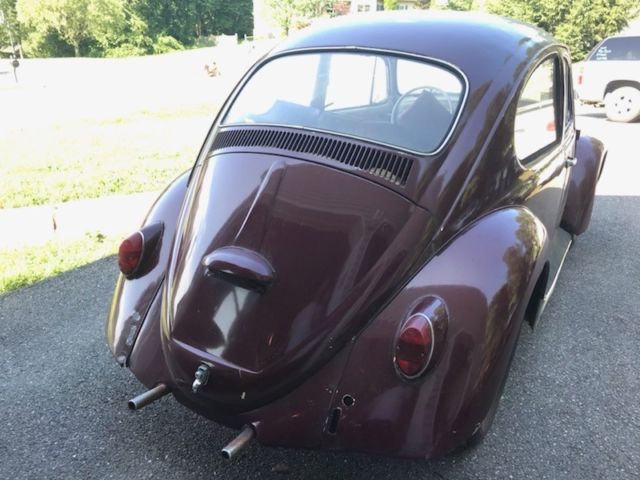 1965 Volkswagen Beetle - Classic Coupe