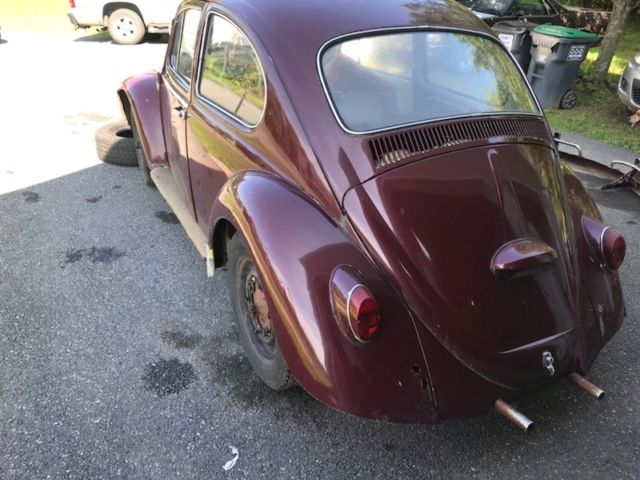 1965 Volkswagen Beetle - Classic Coupe