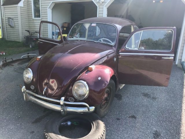 1965 Volkswagen Beetle - Classic Coupe