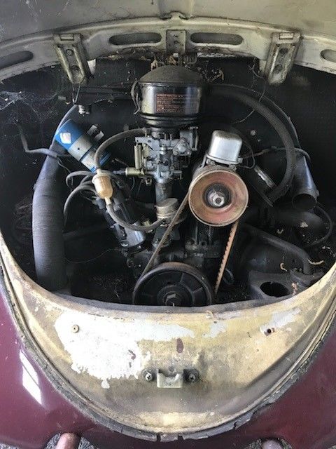 1965 Volkswagen Beetle - Classic Coupe