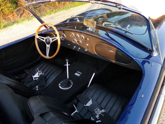 1966 Blue Ford Other FIBERGLASS
