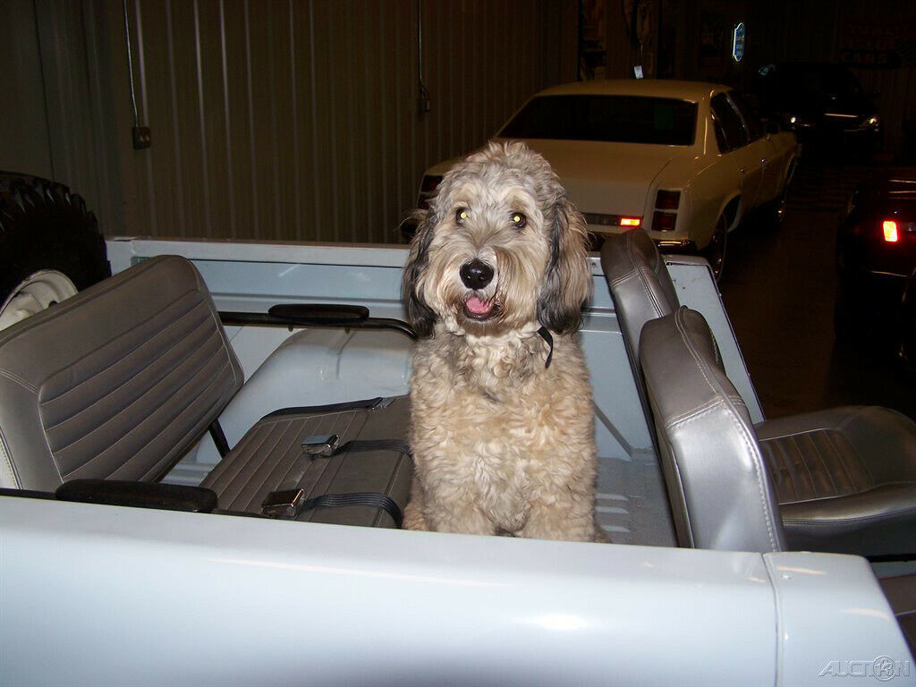 1966 Blue Ford Bronco