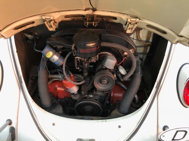 1966 White Volkswagen Beetle - Classic