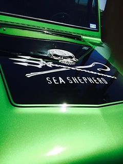 1966 Green Ford Bronco Convertible hard top