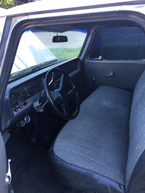1966 Gray Chevrolet C-10 Standard Cab Pickup