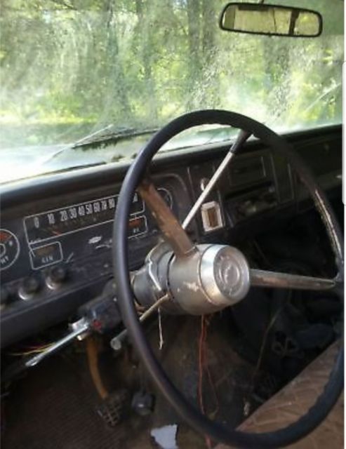 1966 Gray Chevrolet C-10 Standard Cab Pickup