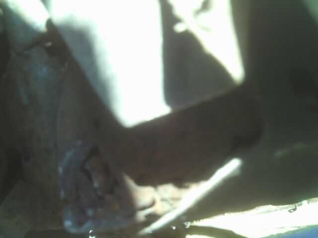 1966 white Chevrolet Corvette convertible