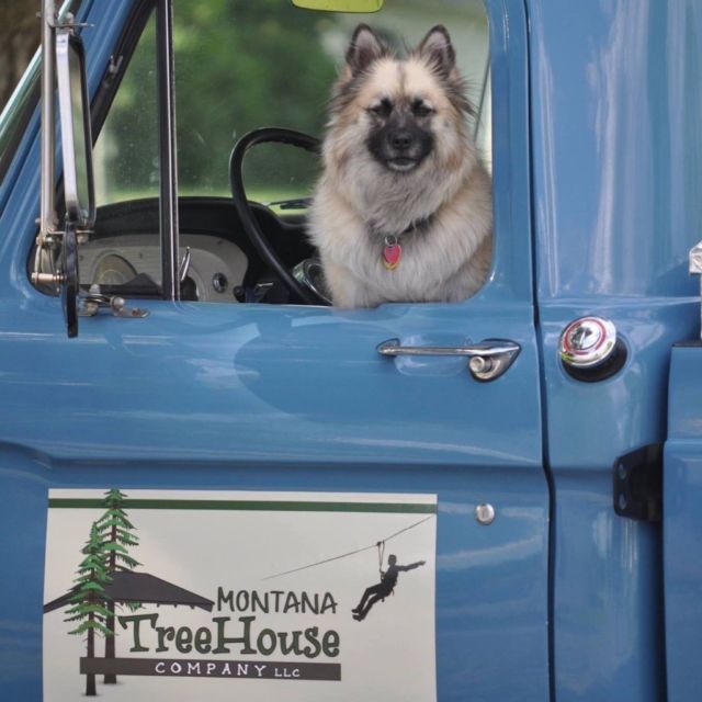 1966 Blue Ford F-250