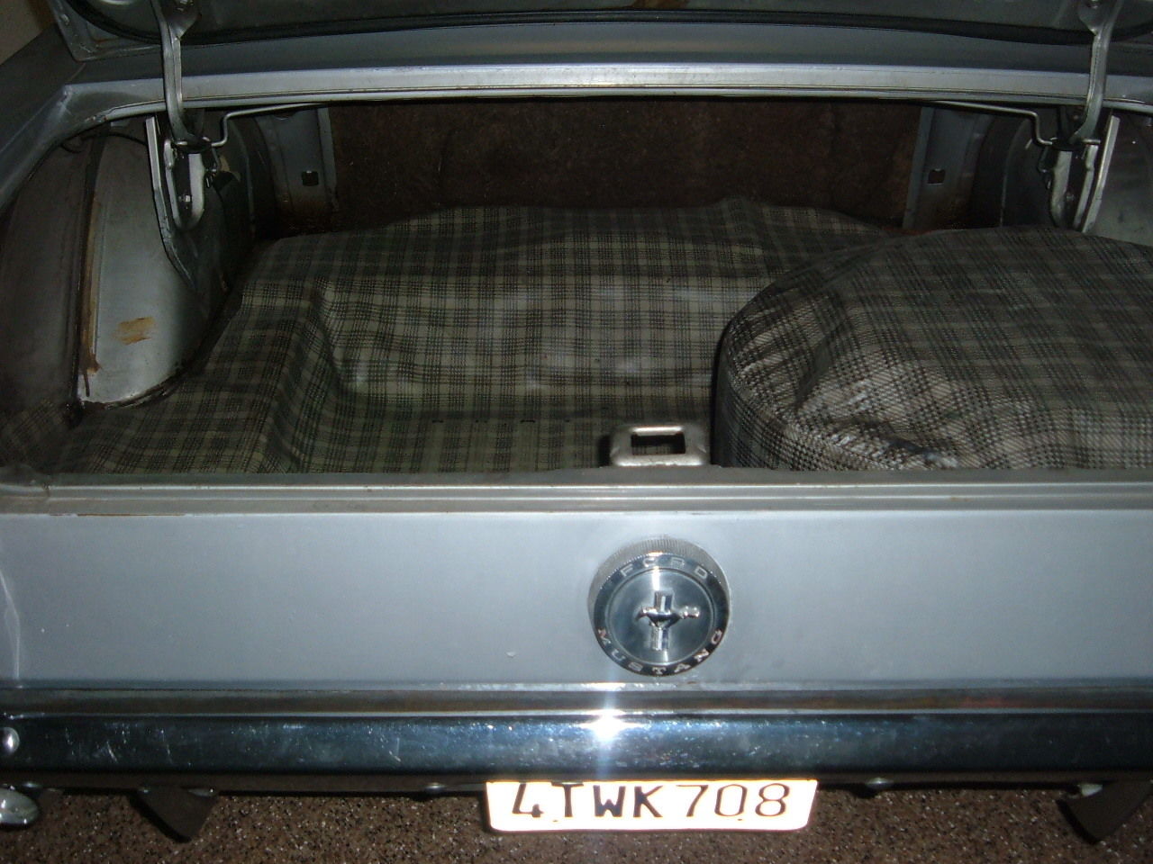 1966 SILVER FROST Ford Mustang U/K