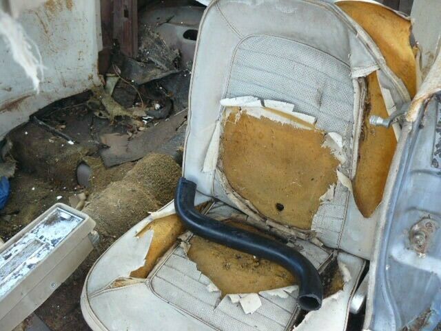 1966 Ford Mustang Coupe