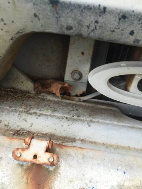 1966 other Chevrolet C-10 single cab