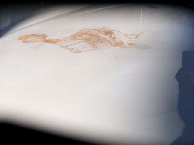 1966 White Mercedes-Benz 200-Series 4 Door Sedan