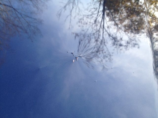 1966 NAVY BLUE Ford Mustang Coupe