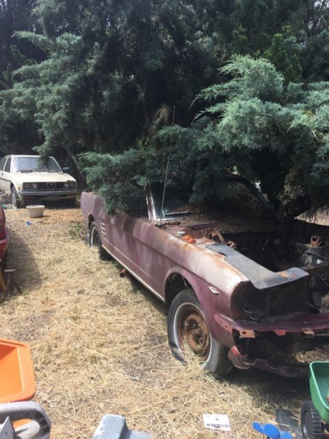 1966 Burgundy Ford Mustang Coupe