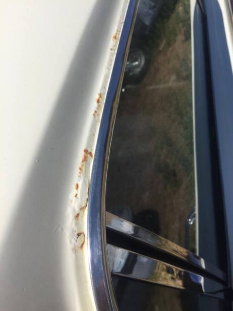 1966 white Ford Mustang Coupe