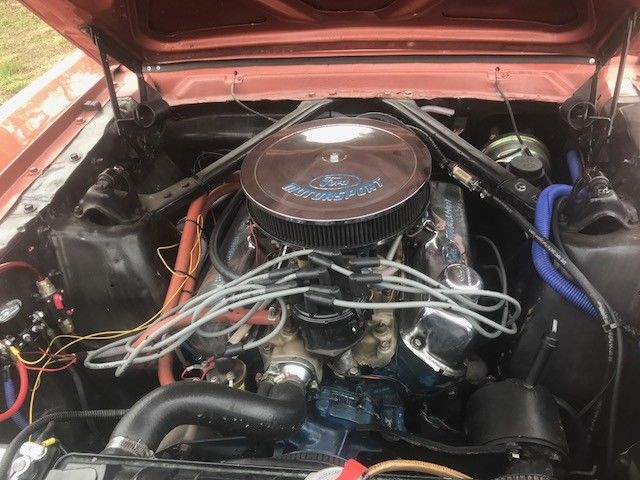 1966 rust factory Ford Mustang Coupe