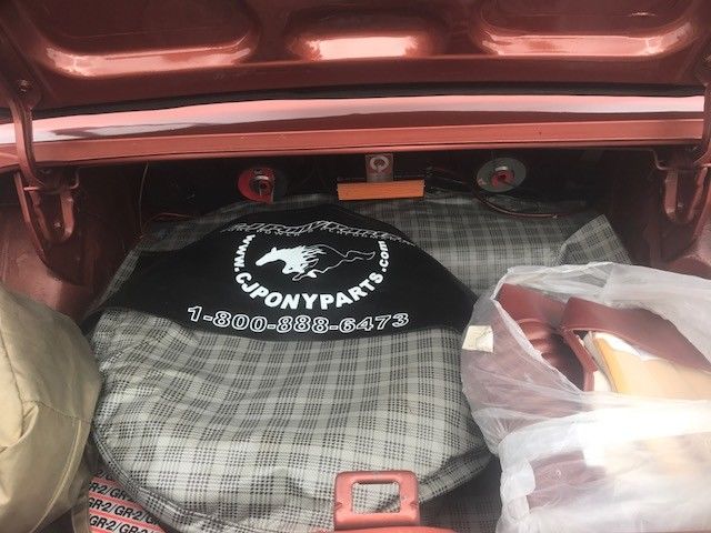 1966 rust factory Ford Mustang Coupe