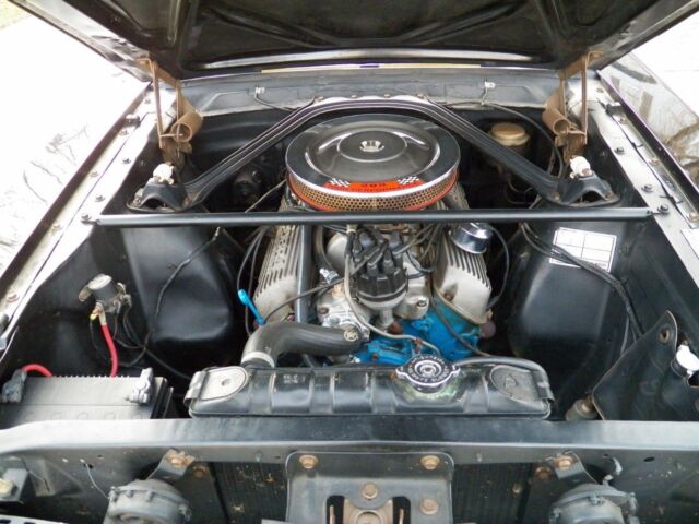 1966 Black Gold Ford Mustang Fastback