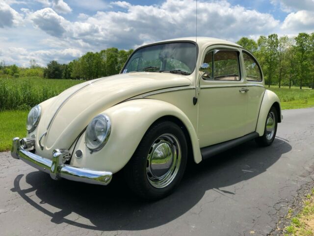1966 Green Volkswagen Beetle - Classic Sedan