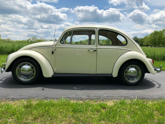 1966 Green Volkswagen Beetle - Classic Sedan