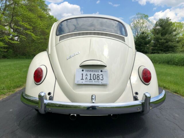1966 Green Volkswagen Beetle - Classic Sedan