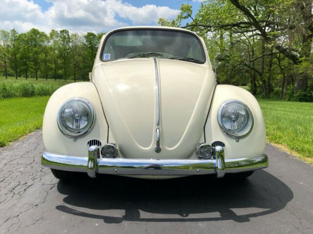1966 Green Volkswagen Beetle - Classic Sedan