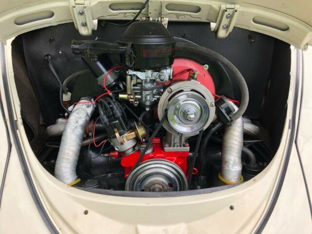 1966 Green Volkswagen Beetle - Classic Sedan