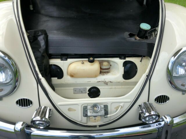 1966 Green Volkswagen Beetle - Classic Sedan