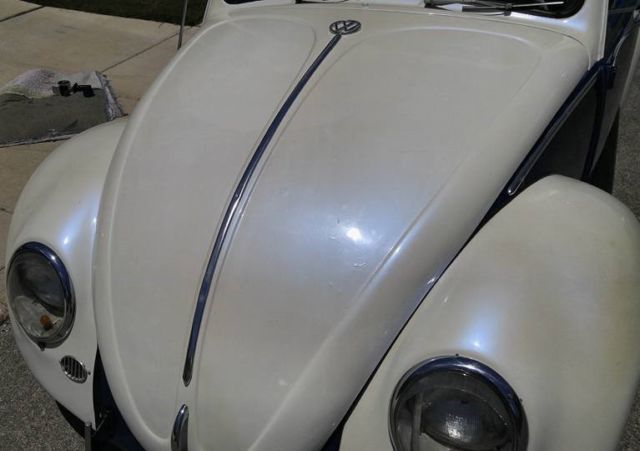 1966 White Volkswagen Beetle - Classic Coupe