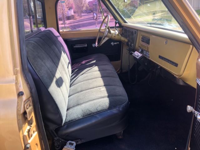 1968 Gold Chevrolet C20 Pickup Standard Cab Pickup