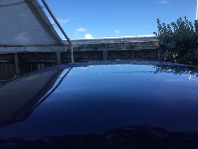 1967 House of color blurpurple Chevrolet C-10