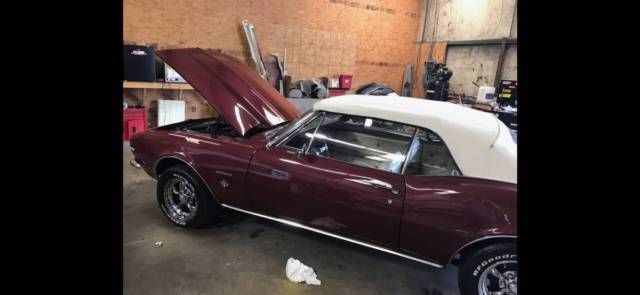 1967 Burgundy Chevrolet Camaro Convertible