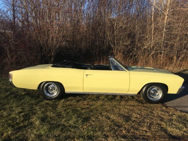 1967 BUTTERNUT YELLOW Chevrolet Chevelle U/K