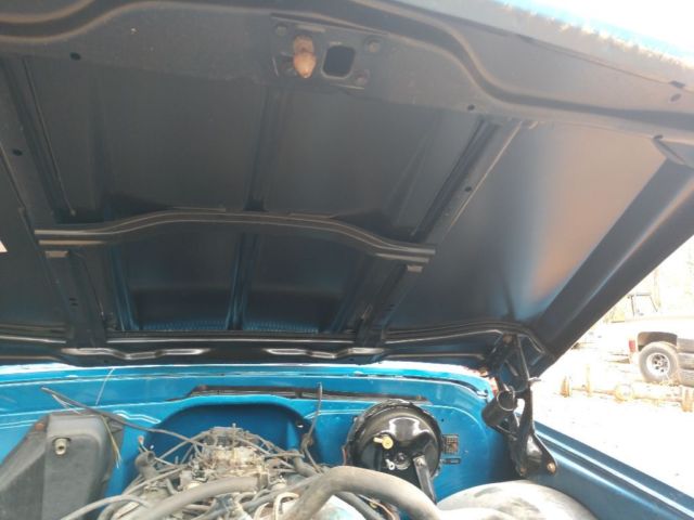 1967 Blue Chevrolet C-10 Standard Cab Pickup