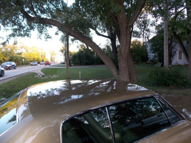 1967 Chevrolet Capriceold