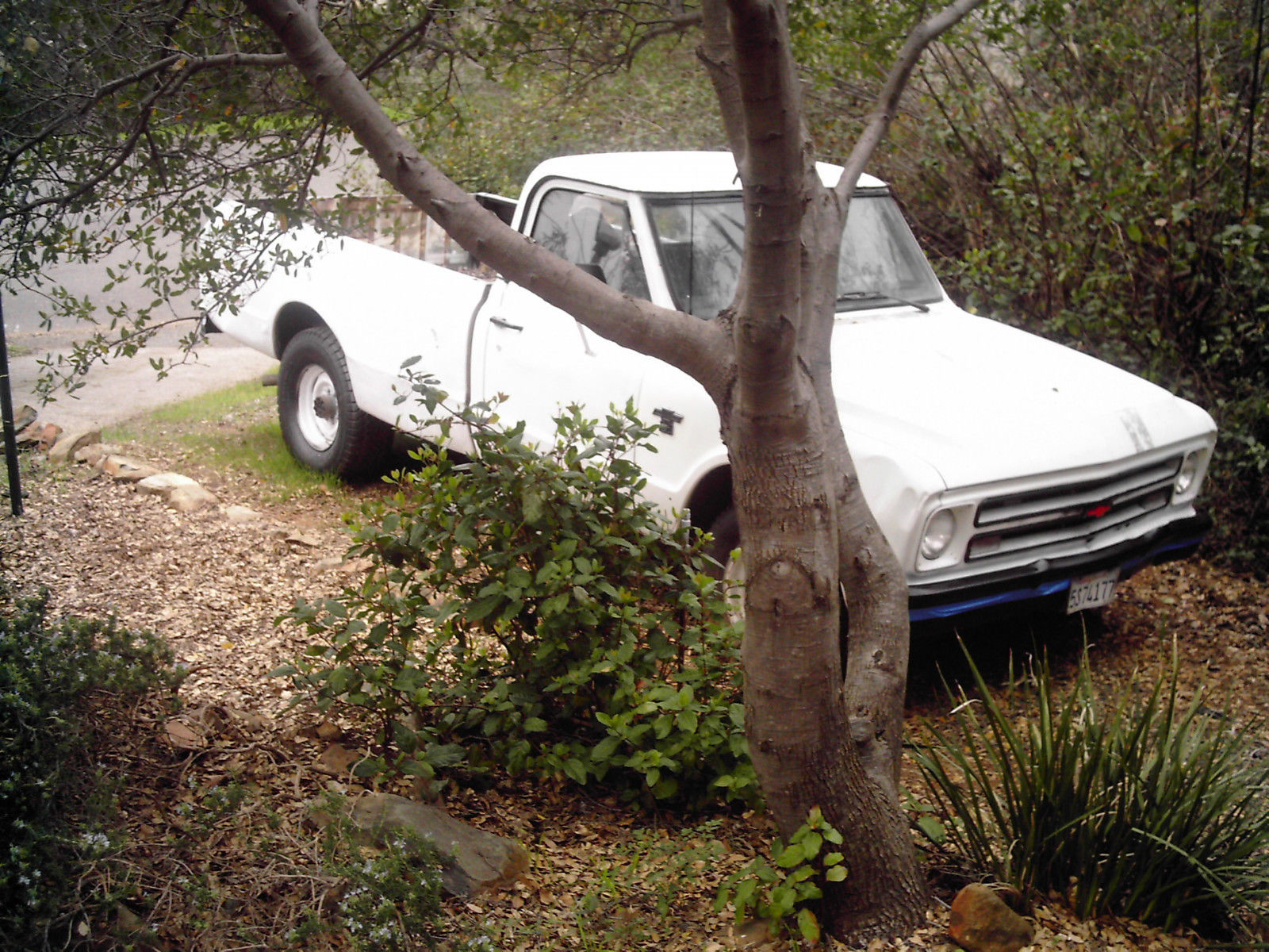 1967 White Chevrolet Other Pickups 2 door long bed