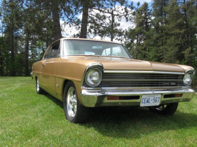 1967 Tan Chevrolet Nova