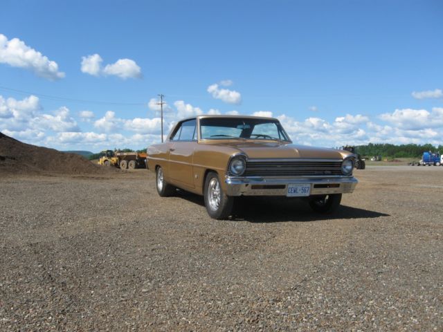 1967 Tan Chevrolet Nova