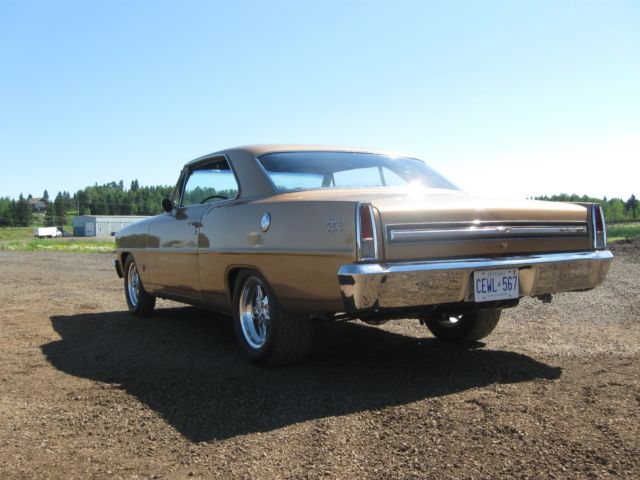 1967 Tan Chevrolet Nova