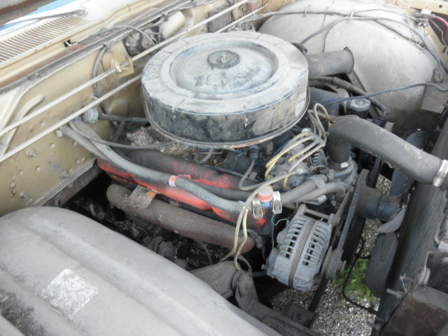 1967 gold Chrysler Newport coupe