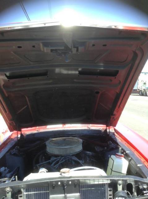 1967 RED WIT WHITE Ford Mustang Coupe