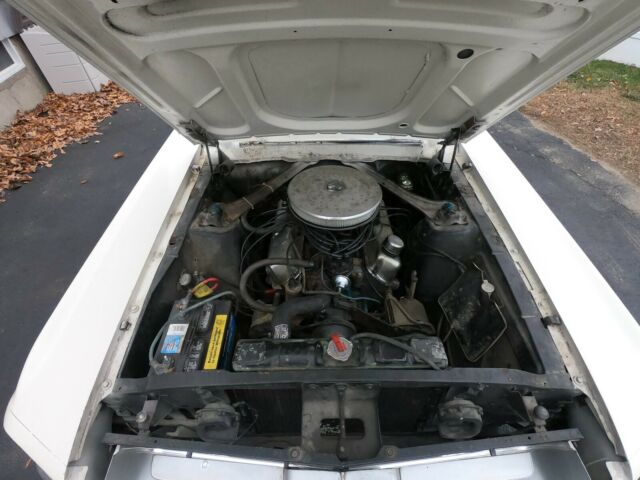 1967 white Ford Mustang Coupe